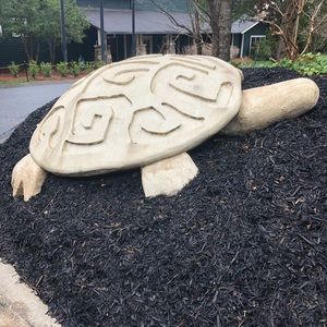 Meet your Posher, Terri